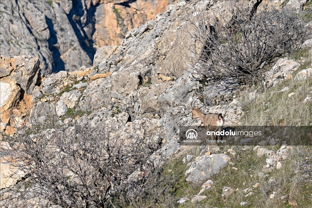 Adıyaman'ın doğal güzellikleri