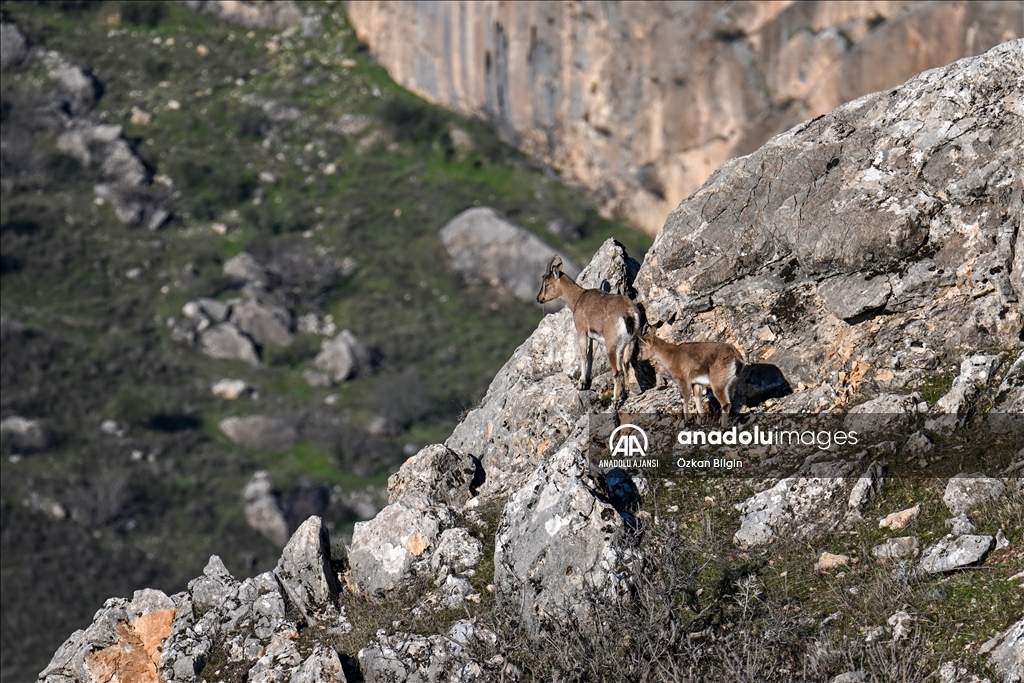Adıyaman'ın doğal güzellikleri