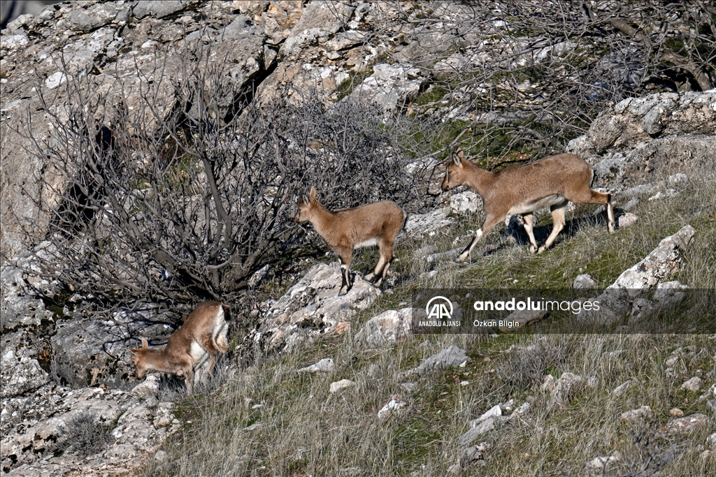 Adıyaman'ın doğal güzellikleri
