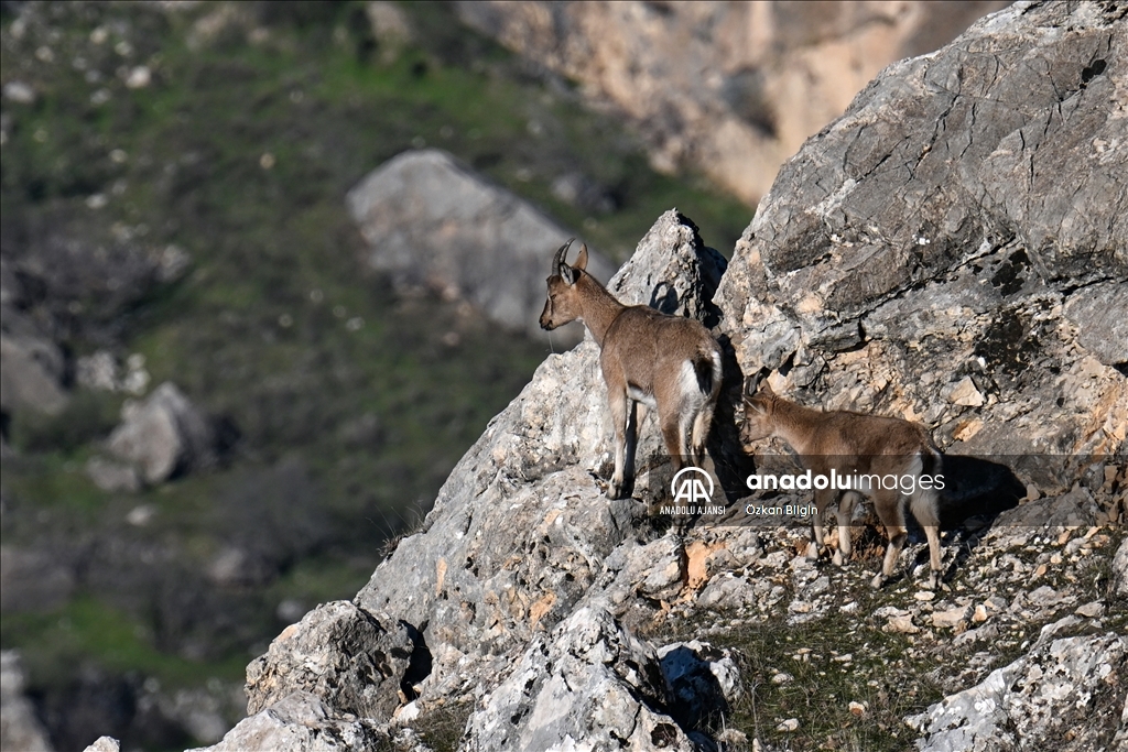 Adıyaman'ın doğal güzellikleri
