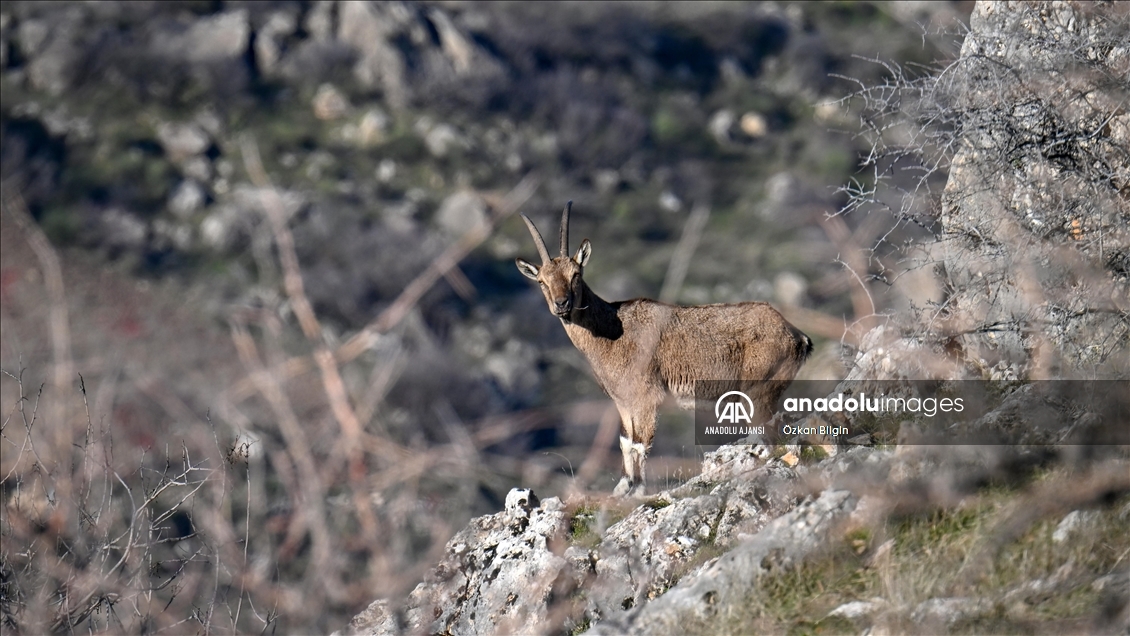 Adıyaman'ın doğal güzellikleri