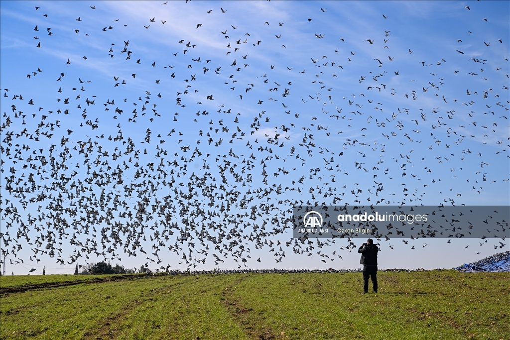 Adıyaman'ın doğal güzellikleri