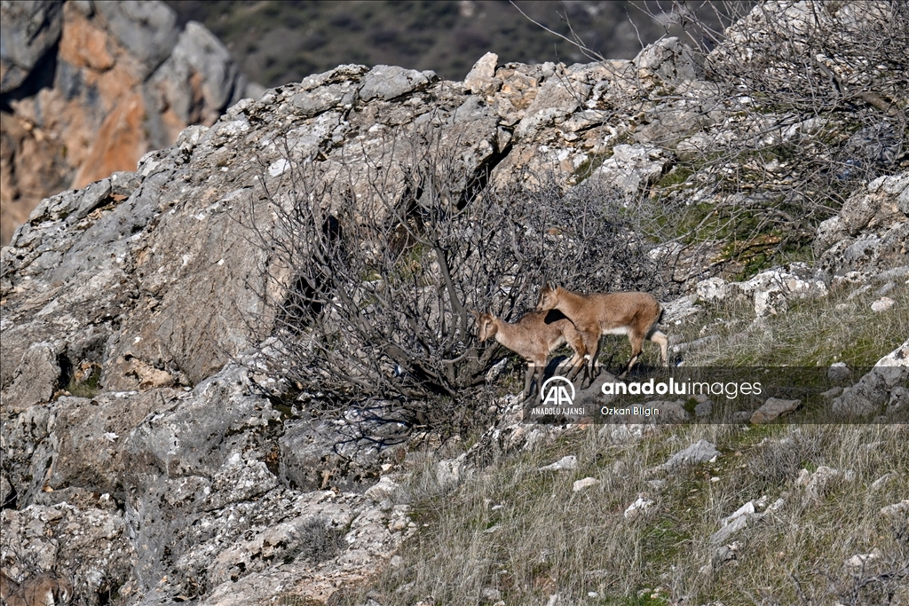 Adıyaman'ın doğal güzellikleri