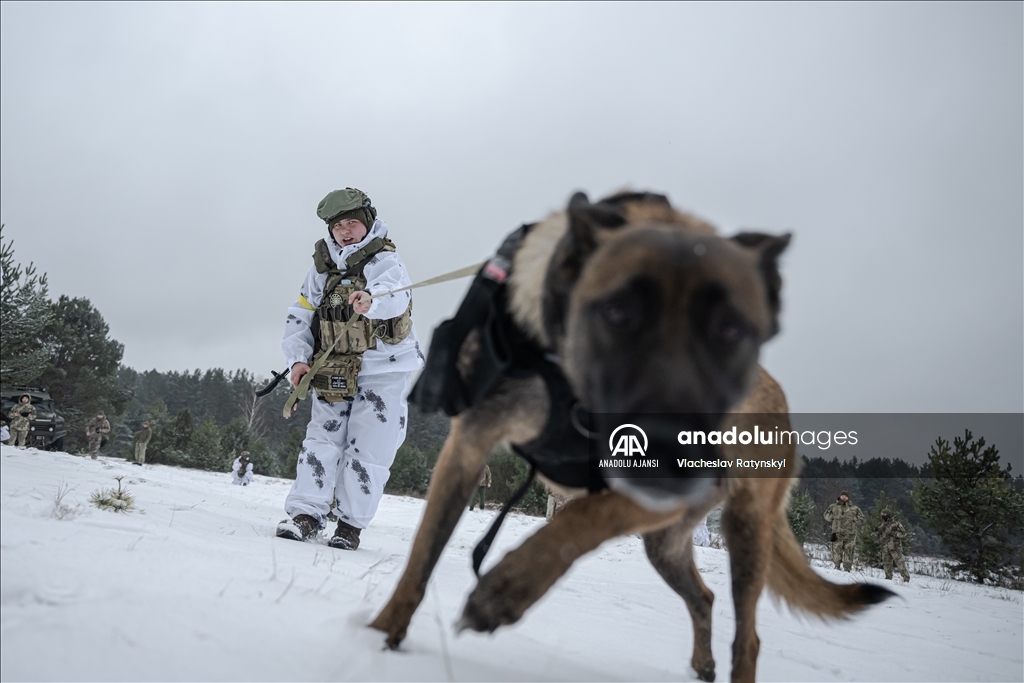Ukraynalı sınır muhafızları sınırdaki askeri çalışmalarını yürütüyor