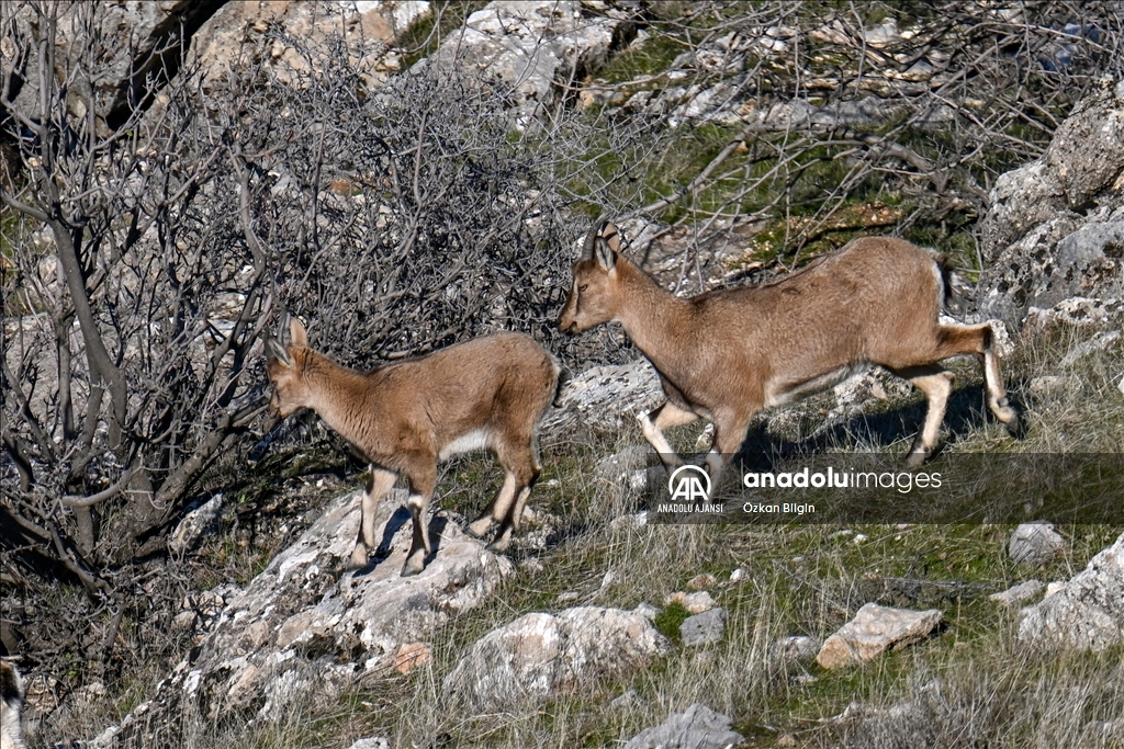 Adıyaman'ın doğal güzellikleri