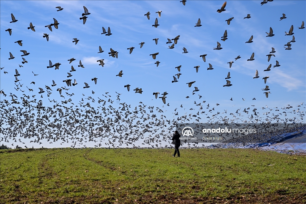 Adıyaman'ın doğal güzellikleri