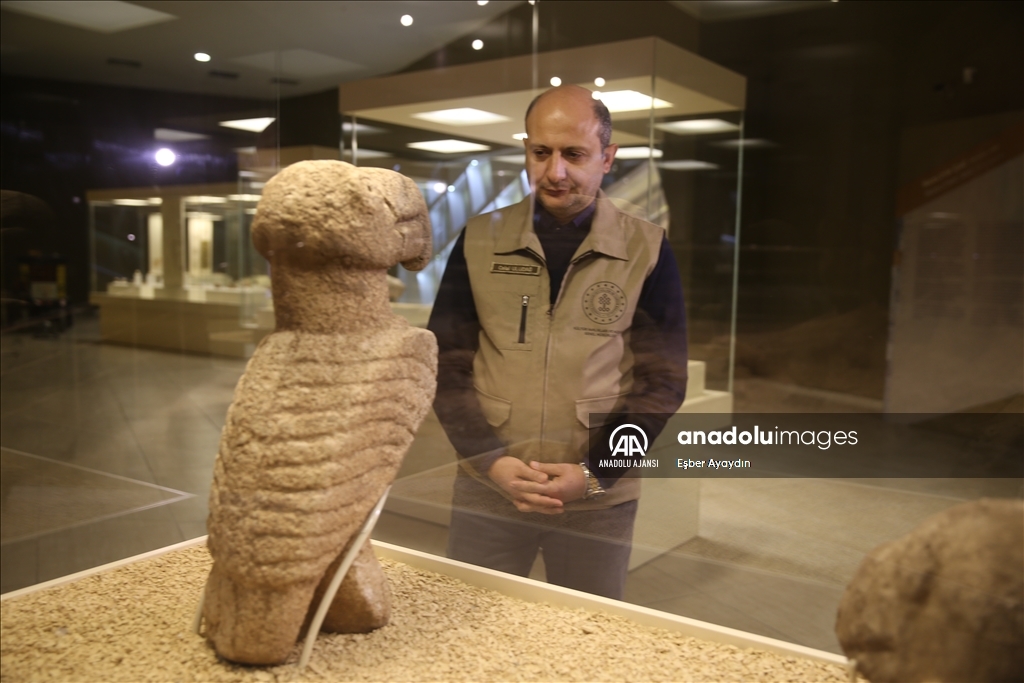 Şanlıurfa'da çıkarılan neolitik döneme ait 81 eser ilk kez teşhir edilecek