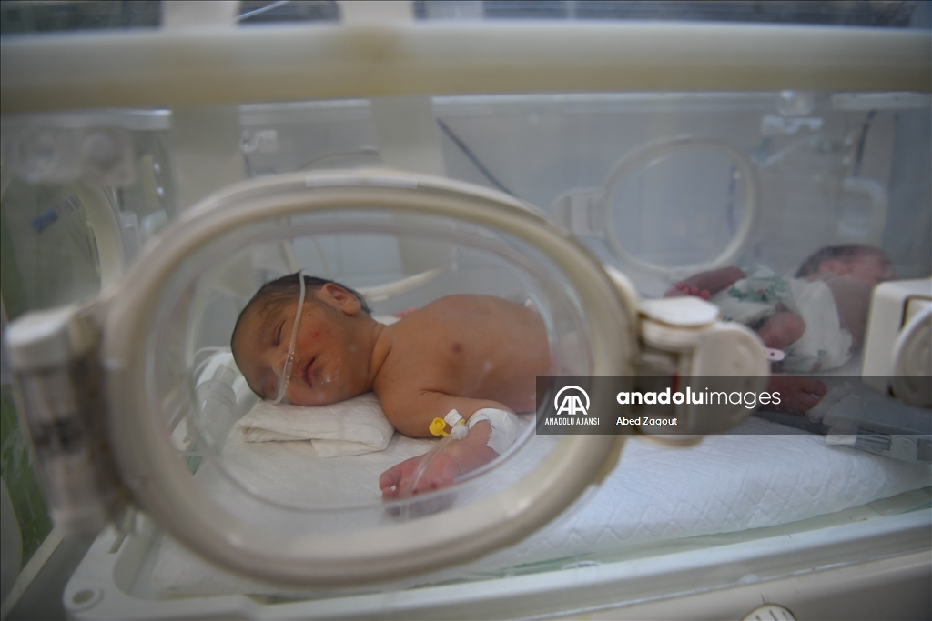 Gazze'deki BAE Hilal Hastanesi'nde bir kuvözü birden fazla prematüre bebek paylaşmak zorunda kalıyor