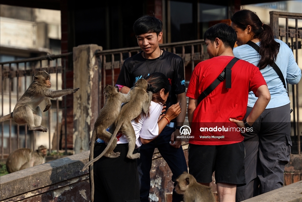 Maymunların istila ettiği şehir Lopburi