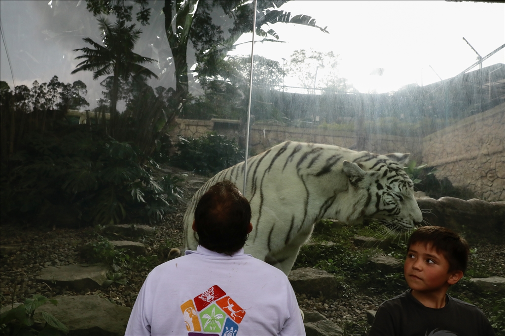 Kolombiya'da 3 Mart Dünya Yaban Hayatı Günü