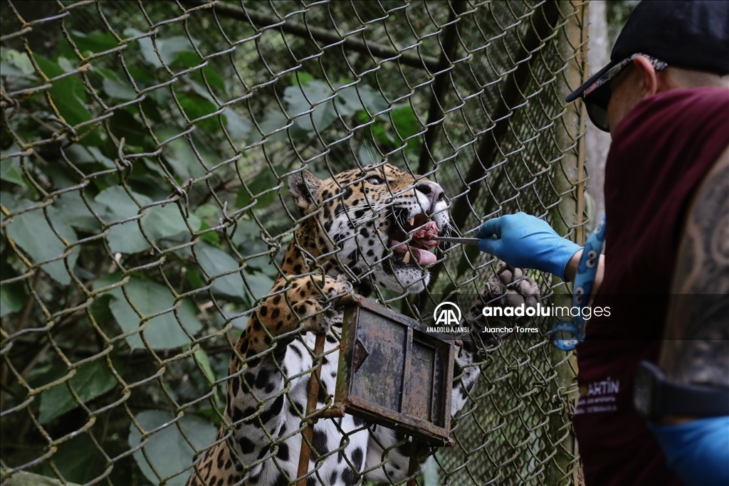 Kolombiya'da 3 Mart Dünya Yaban Hayatı Günü