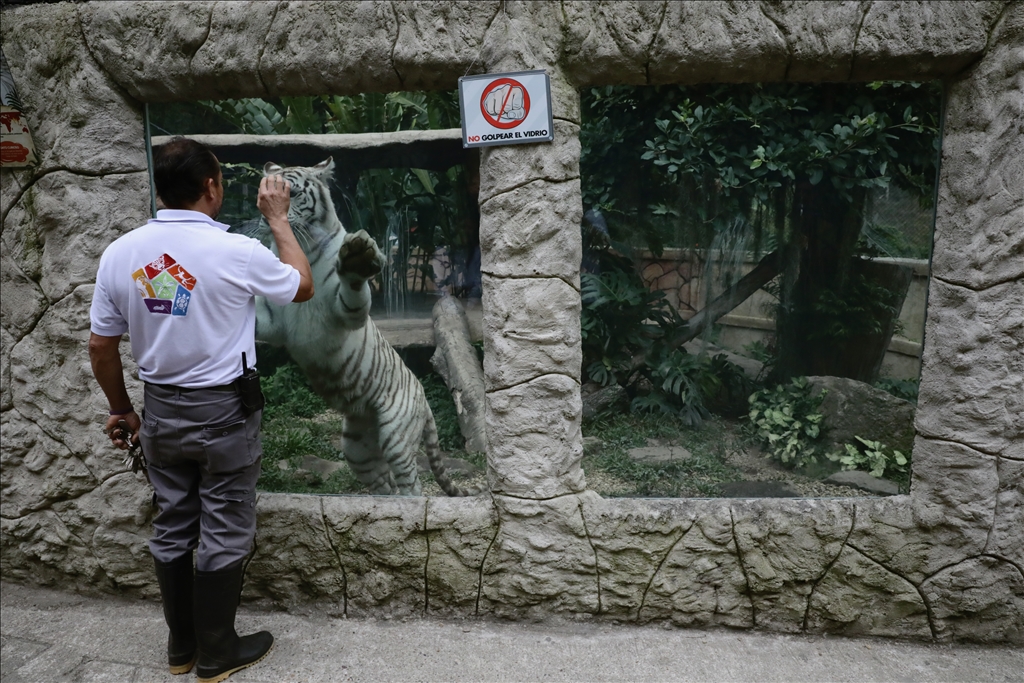 Kolombiya'da 3 Mart Dünya Yaban Hayatı Günü