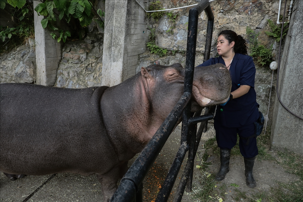 Kolombiya'da 3 Mart Dünya Yaban Hayatı Günü