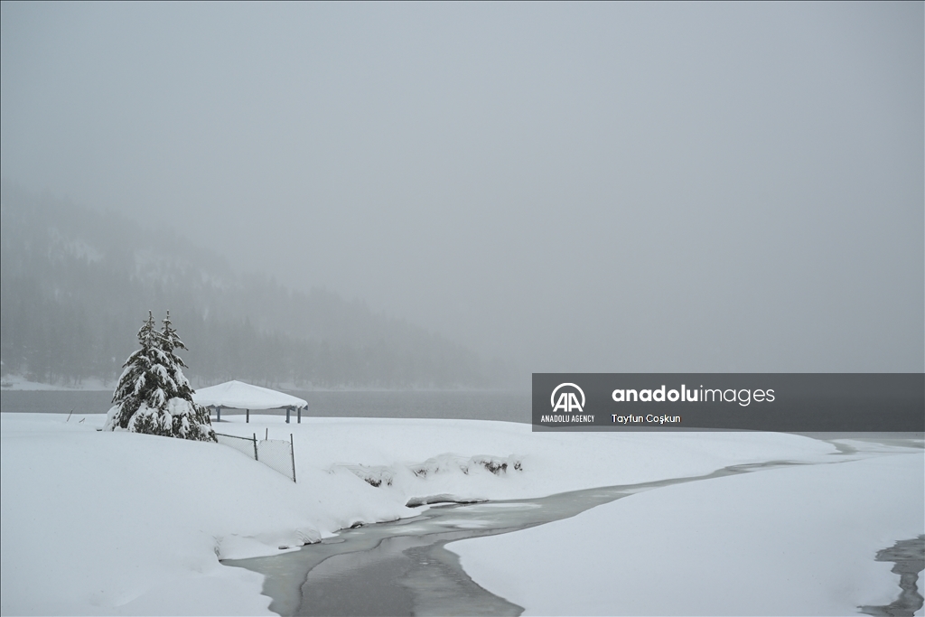 Snow blanketed Donner Lake area of Truckee in California