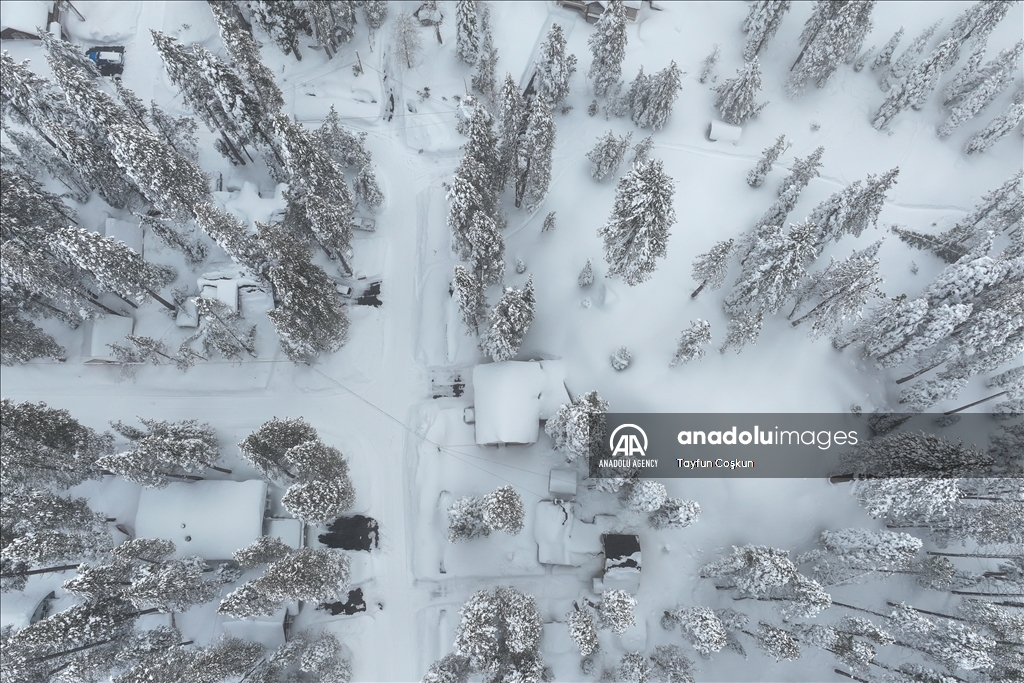 Snow blanketed Donner Lake area of Truckee in California