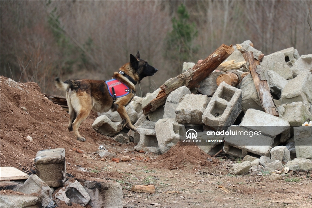 Karabük'te "Saha Uzantılı TAMP Deprem Tatbikatı" yapıldı