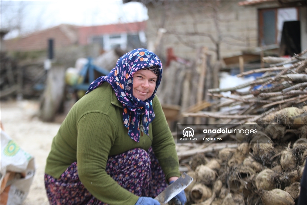 Istranca dağları eteklerinde köy kadınları, zor şartlarda emeklerini esirgemeden üretime destek oluyor