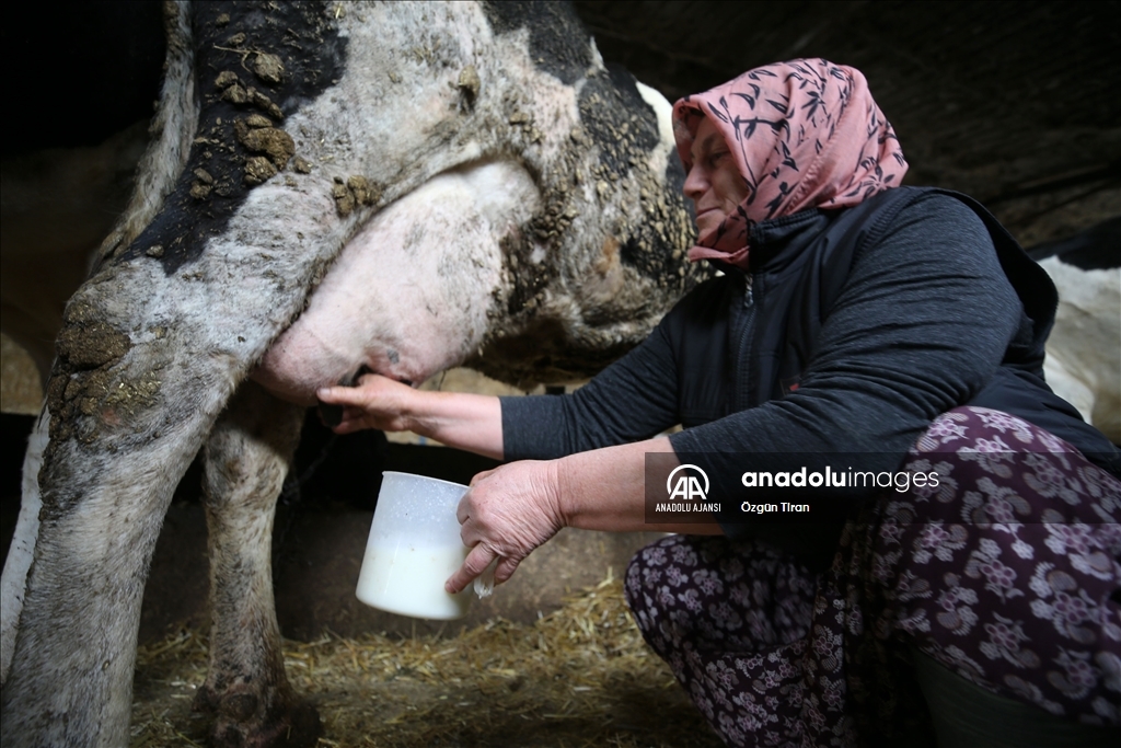 Istranca dağları eteklerinde köy kadınları, zor şartlarda emeklerini esirgemeden üretime destek oluyor