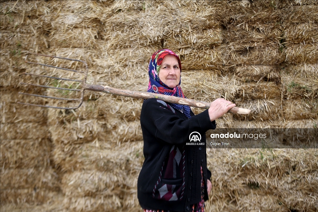 Istranca dağları eteklerinde köy kadınları, zor şartlarda emeklerini esirgemeden üretime destek oluyor