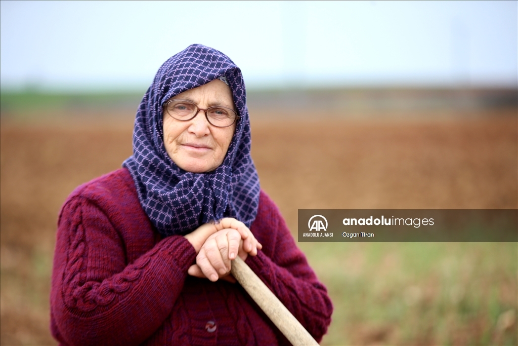 Istranca dağları eteklerinde köy kadınları, zor şartlarda emeklerini esirgemeden üretime destek oluyor