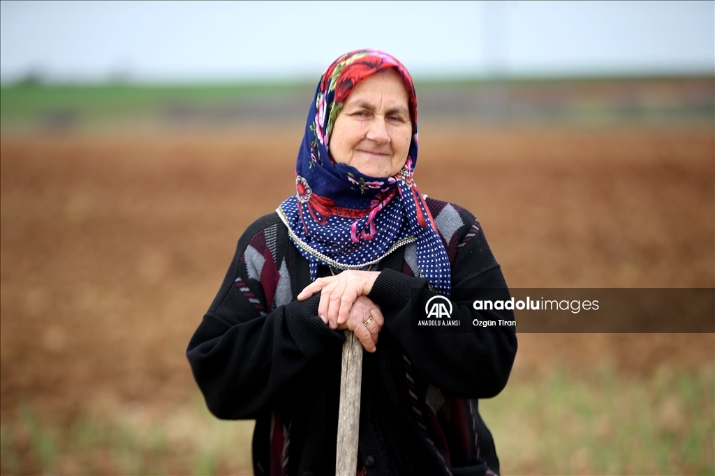 Istranca dağları eteklerinde köy kadınları, zor şartlarda emeklerini esirgemeden üretime destek oluyor