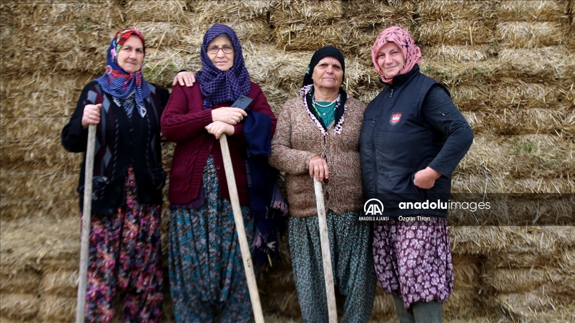 Istranca dağları eteklerinde köy kadınları, zor şartlarda emeklerini esirgemeden üretime destek oluyor