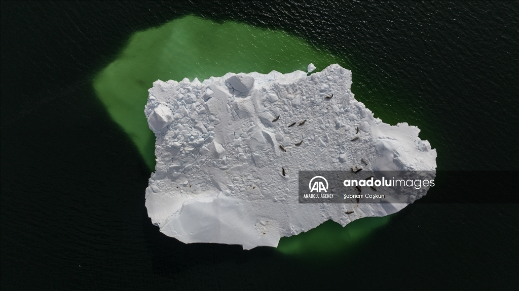8th National Antarctic Science Expedition: Journey to future of world