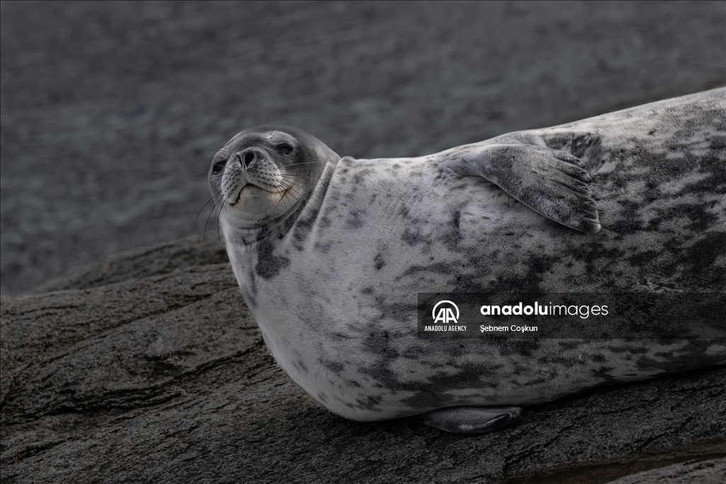 8th National Antarctic Science Expedition: Journey to future of world