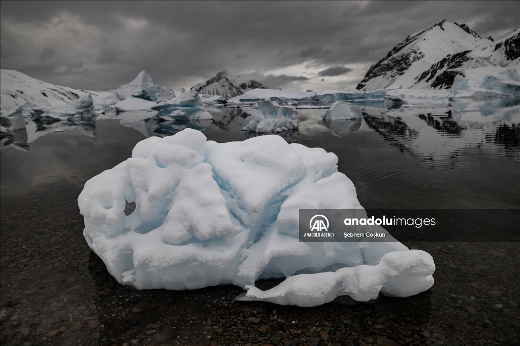 8th National Antarctic Science Expedition: Journey to future of world