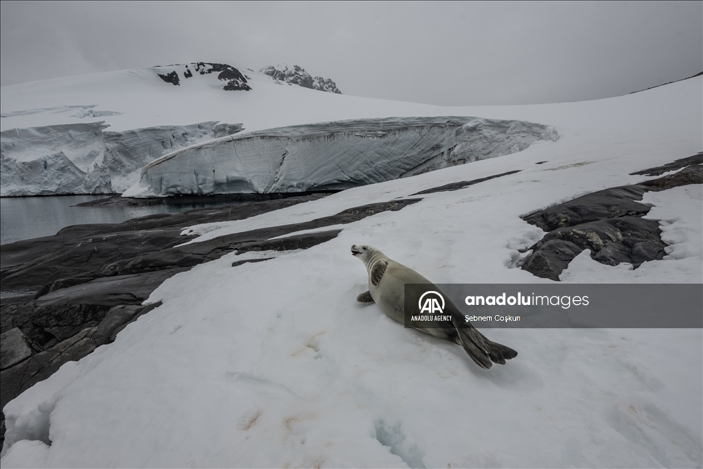 8th National Antarctic Science Expedition: Journey to future of world