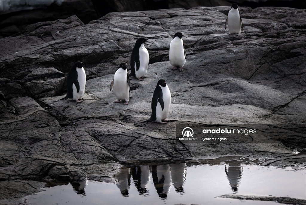 8th National Antarctic Science Expedition: Journey to future of world