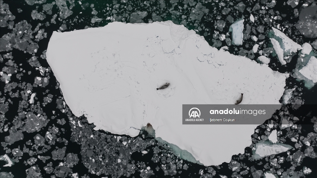 8th National Antarctic Science Expedition: Journey to future of world