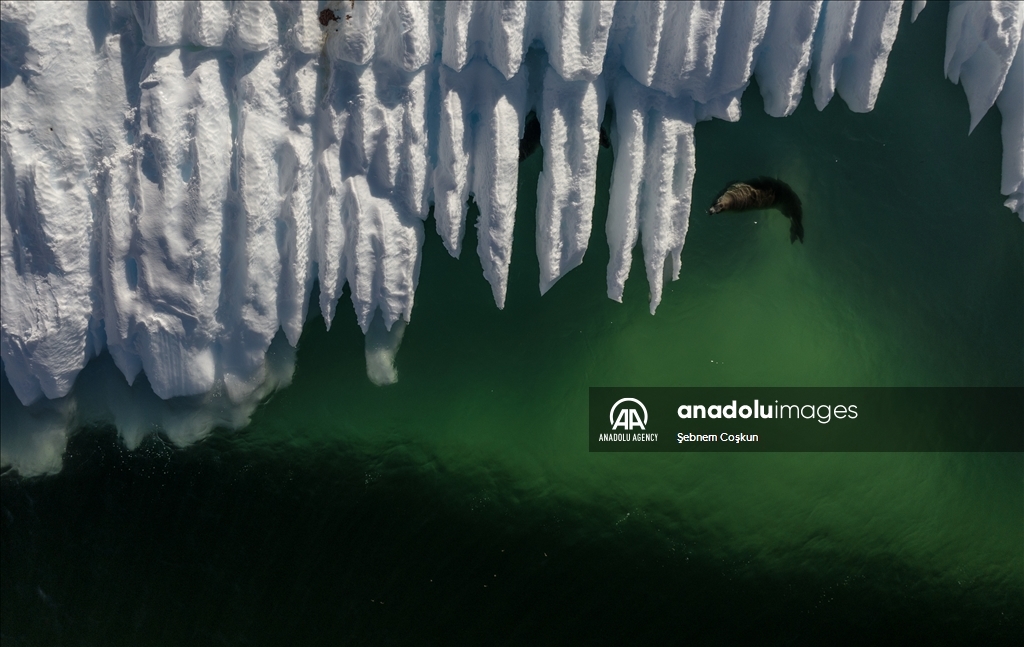 8th National Antarctic Science Expedition: Journey to future of world