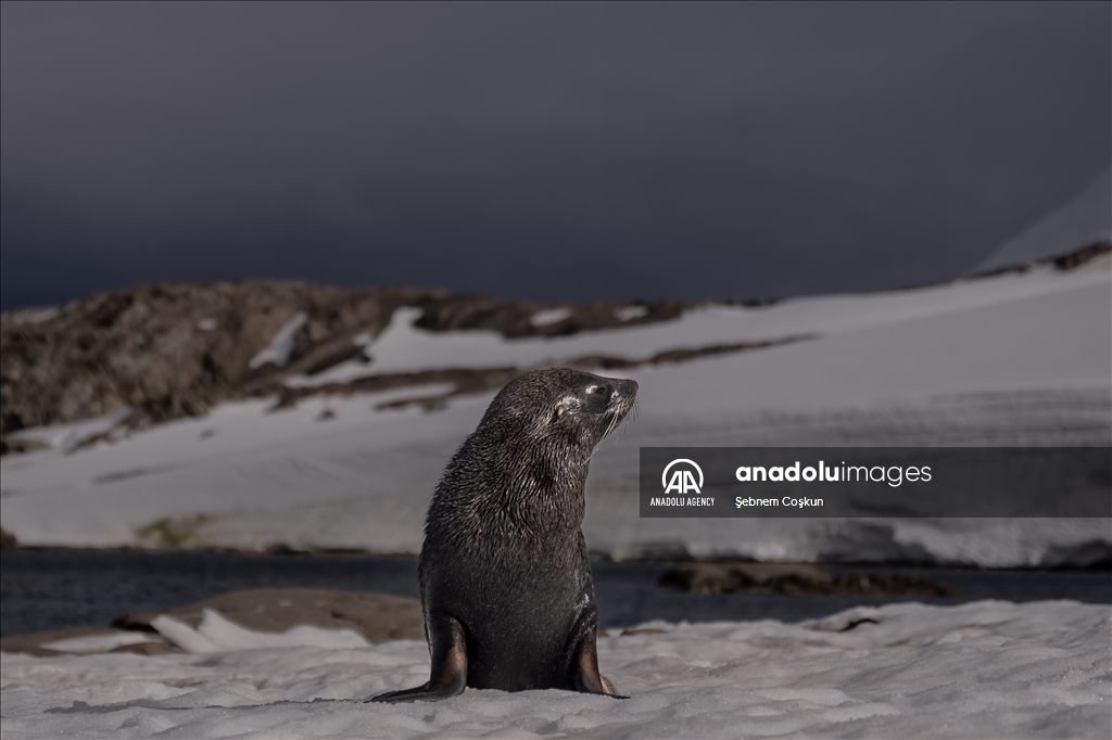 8th National Antarctic Science Expedition: Journey to future of world