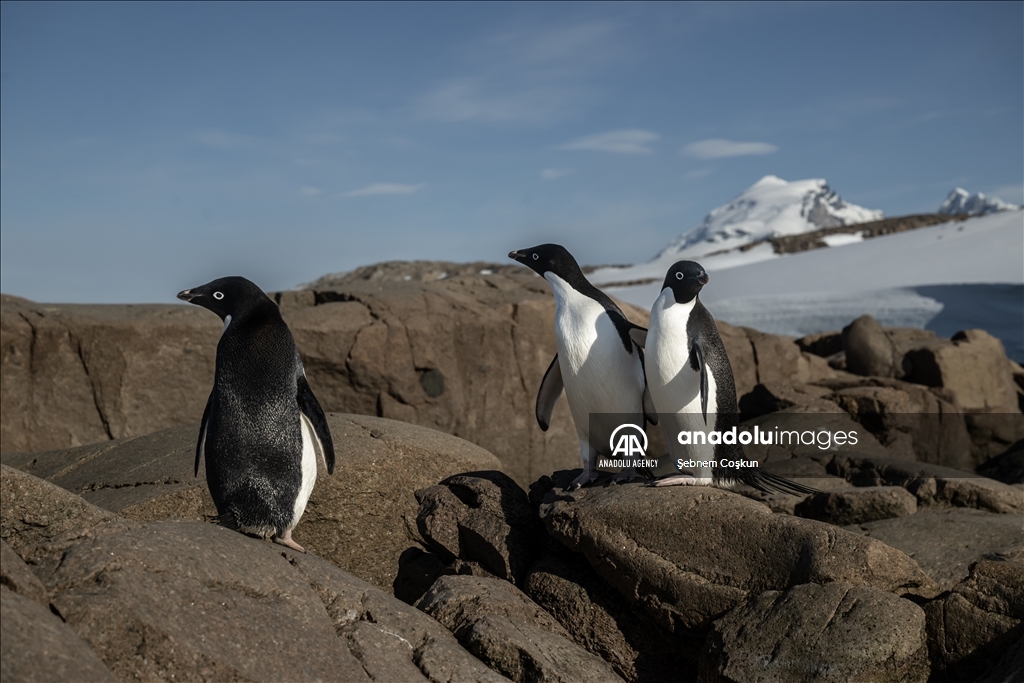 8th National Antarctic Science Expedition: Journey to future of world