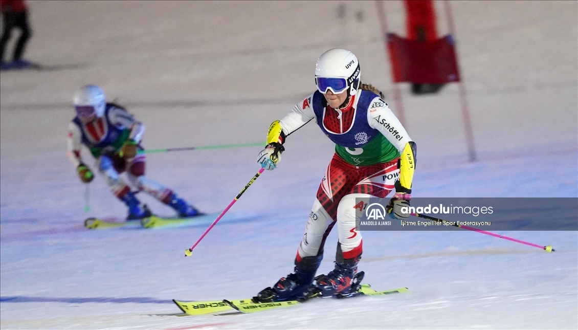 20. İşitme Engelliler Kış Olimpiyat Oyunları