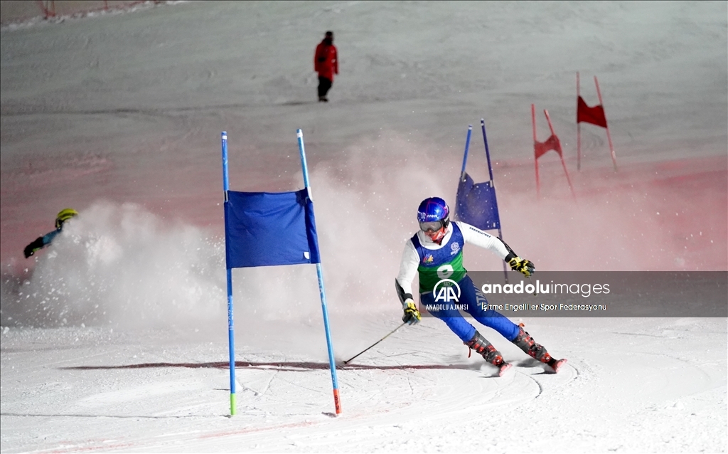 20. İşitme Engelliler Kış Olimpiyat Oyunları