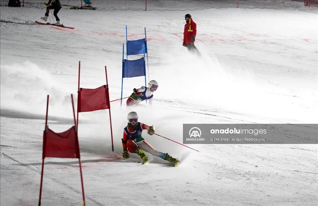 20. İşitme Engelliler Kış Olimpiyat Oyunları