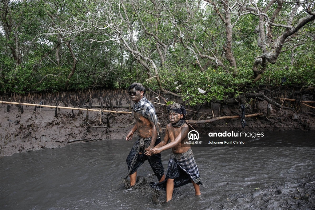 Традиционално капење во кал на Бали