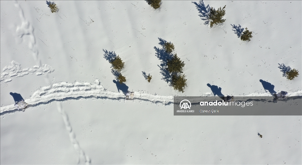 Karlı dağların erleri zorlu görevlere tatbikatlarla hazırlanıyor