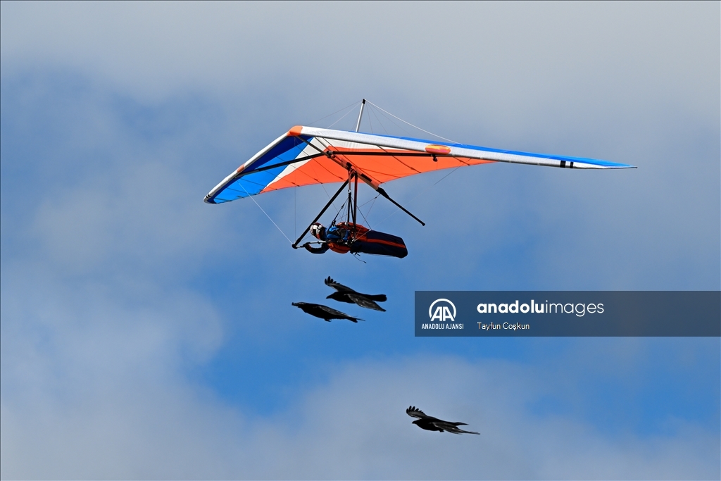 Yamaç paraşütü ve yelken kanat tutkunları San Francisco'da gökyüzüyle buluşuyor