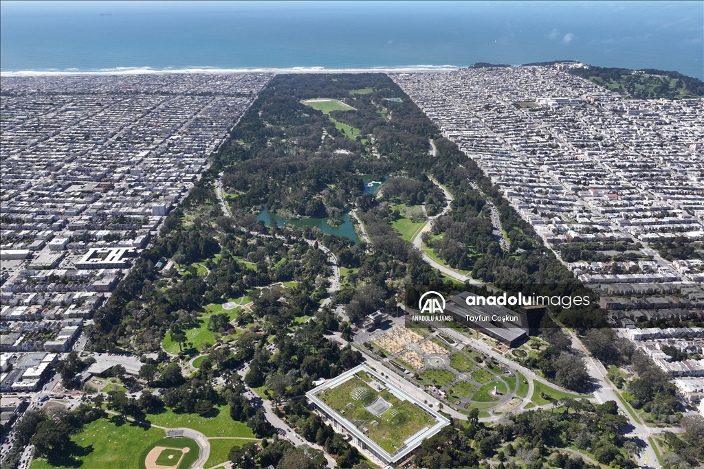 Amerika Birleşik Devletleri'nin California eyaletine bağlı San Francisco şehri