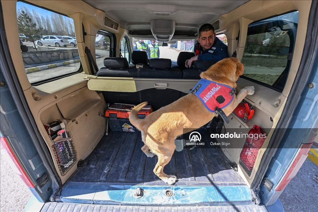 Van'da uyuşturucuyla mücadelede jandarmanın en büyük yardımcısı dedektör köpekler
