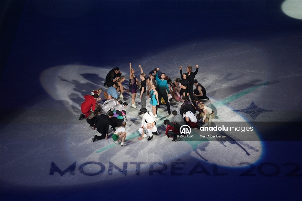 Dünya Artistik Buz Pateni Şampiyonası