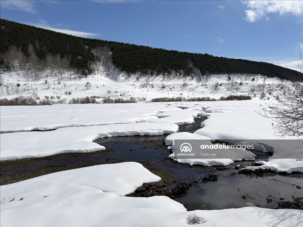 Ardahan'da soğuk hava 