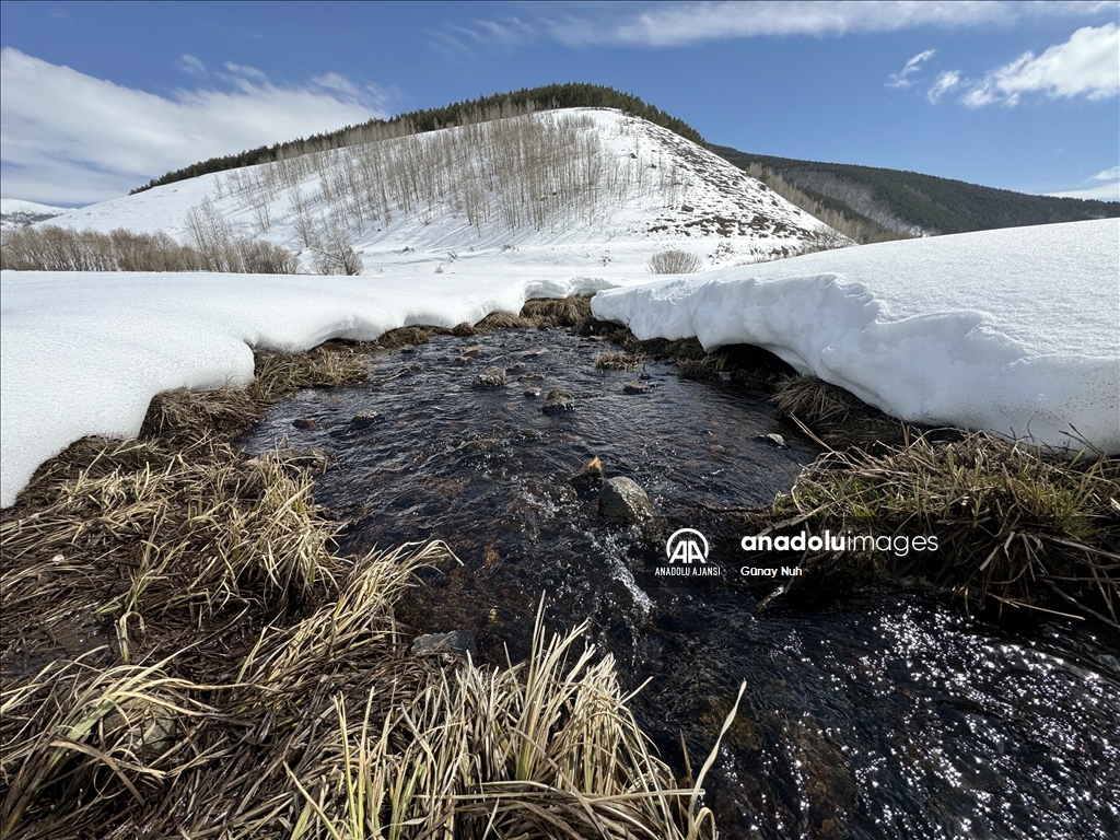 Ardahan'da soğuk hava 