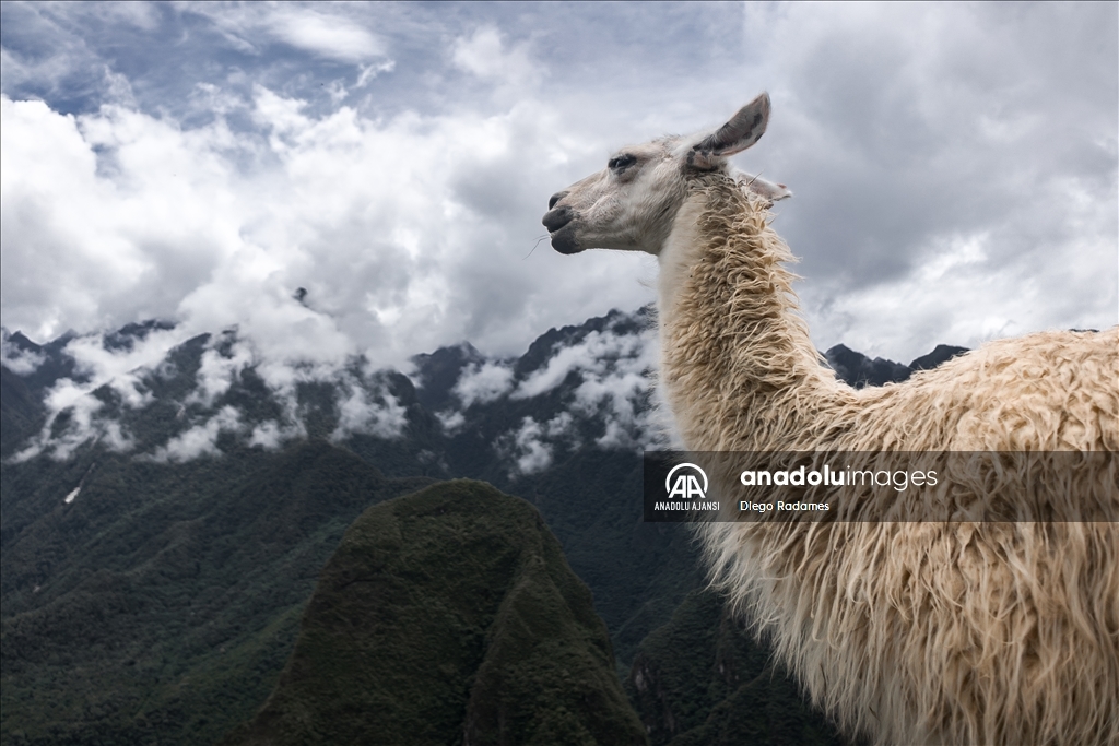 Peru'daki antik İnka şehri Machu Picchu
