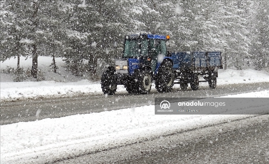 Kars'ta kar ve sis nedeniyle ulaşım güçlükle sağlanıyor