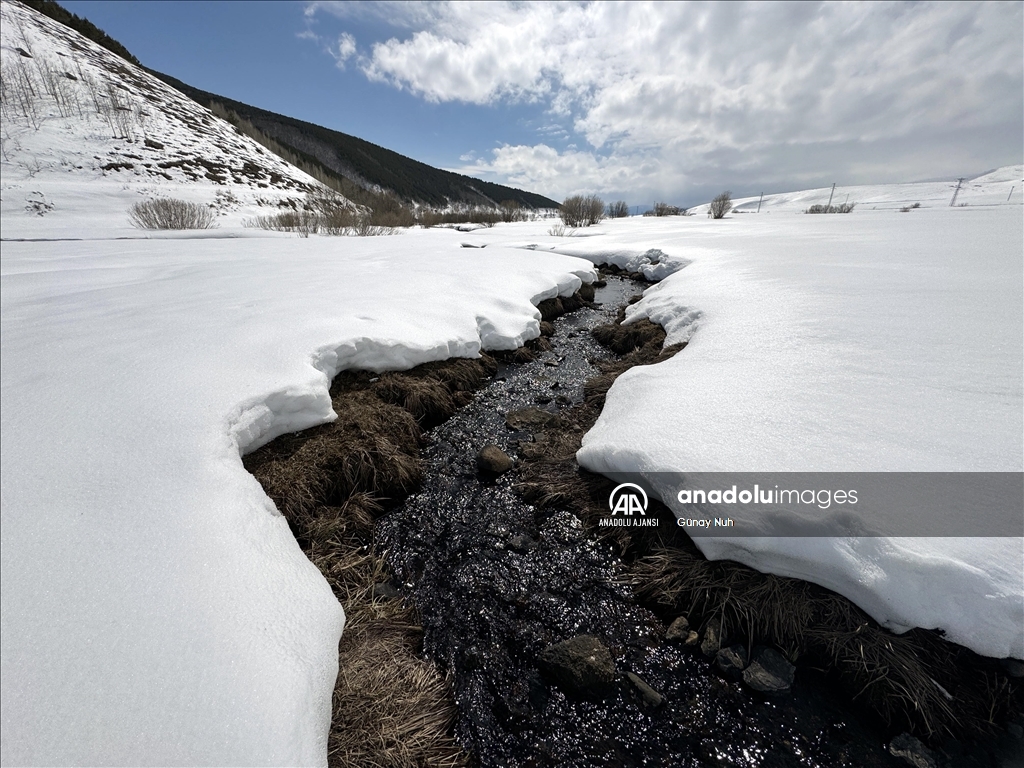 Ardahan'da soğuk hava 