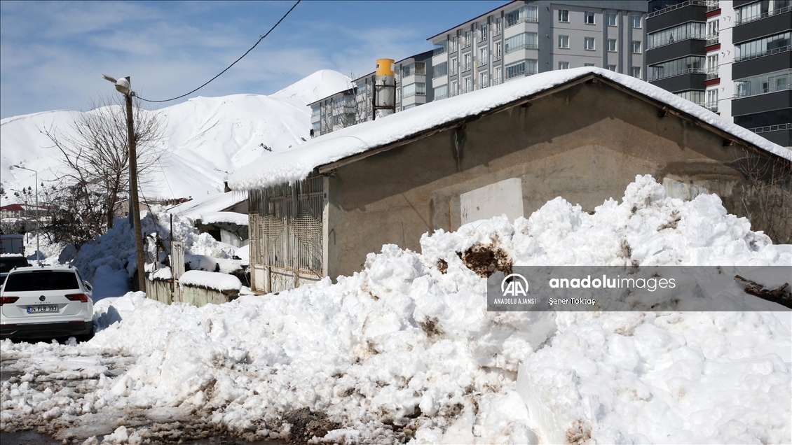 Bitlis ile Ardahan'da kar ve soğuk hava etkili oldu